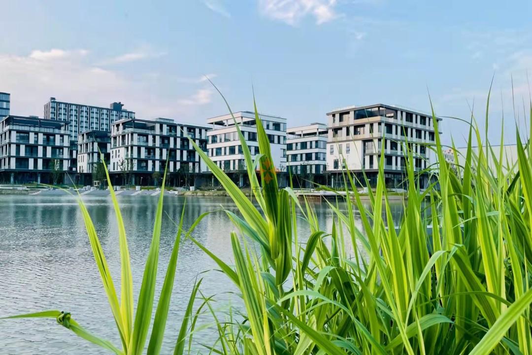 移動(dòng)智地